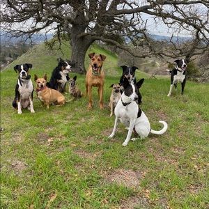 Meet your Posher, Paula